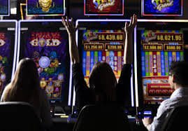 Antarmuka live dealer senior4d menampilkan kartu, statistik, dan kontrol taruhan